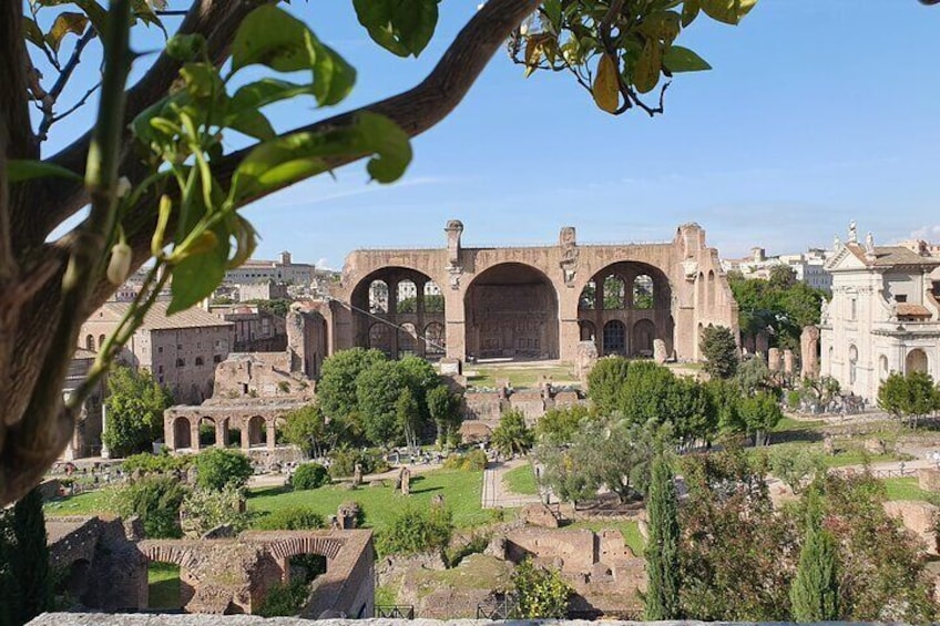 Roman Forum and Palatine Hill Skip the line access