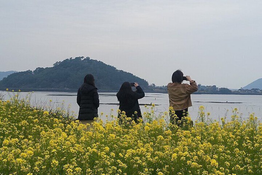 Full-Day Private Tour in Jeju Island UNESCO World Heritage 