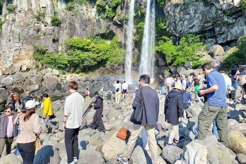 All Inclusive Jeju Island Private Tour 