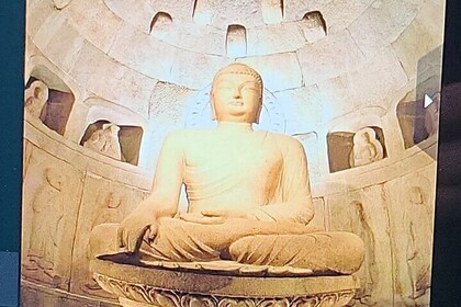 Private Day Tour For Stay Seongsan area customers in Jeju island