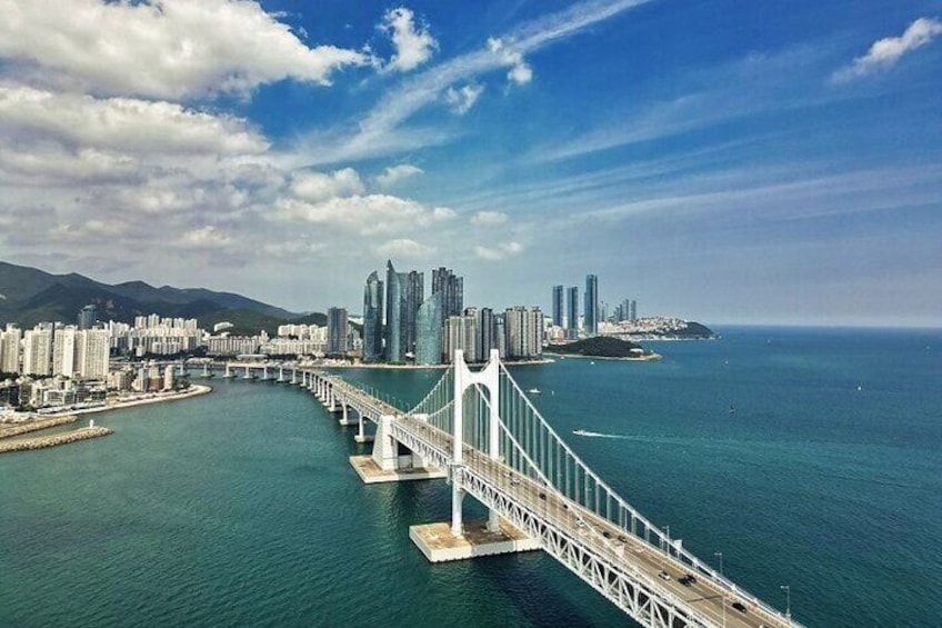  Busan Full-Day Private Tour via the KTX Train from Seoul