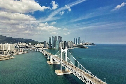 Busan Full-Day Private Tour via the KTX Train from Seoul