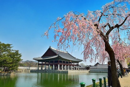 Seoul Full day Private Tour Gyeongbokgung Palace, Insadong & More