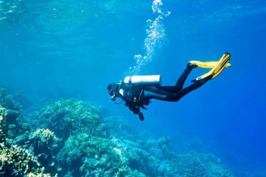 Scuba Diving Experience in Bodrum - Lunch and Licensed Instructor