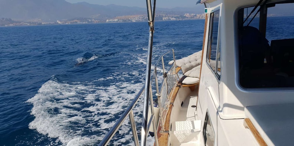 Picture 4 for Activity Estepona: Sunset boat trip & Cava & Tapa
