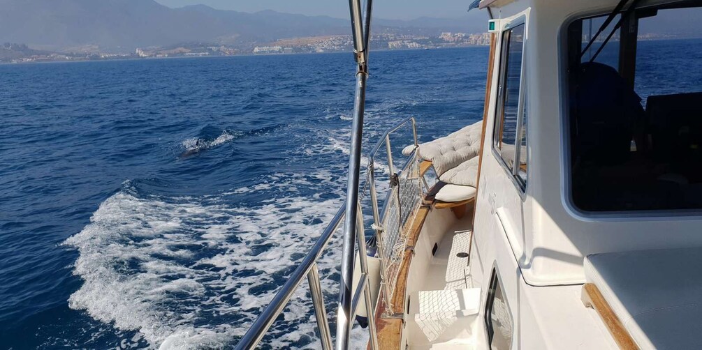 Picture 4 for Activity Estepona: Sunset boat trip & Cava & Tapa
