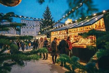 薩爾茨堡一整天的私人旅程從維也納,午餐和嚮導
