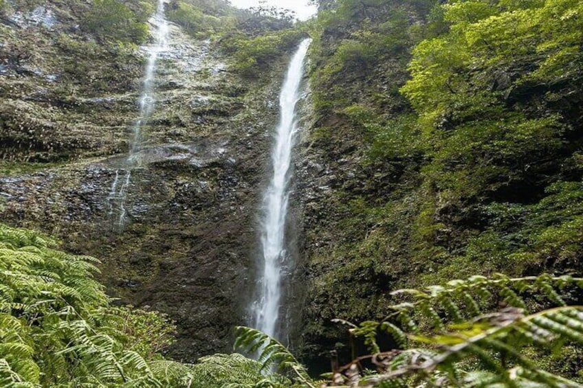 Full-Day Self Guided Hike in Caldeirão Verde Levada