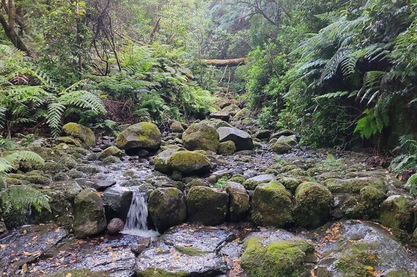 Full-Day Self Guided Hike in Caldeirão Verde Levada