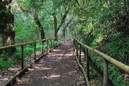 Full-Day Self Guided Hike in Caldeirão Verde Levada