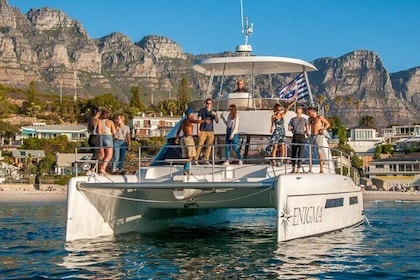 1-Hour Guided Catamaran Cruise with Pick Up in Cape Town