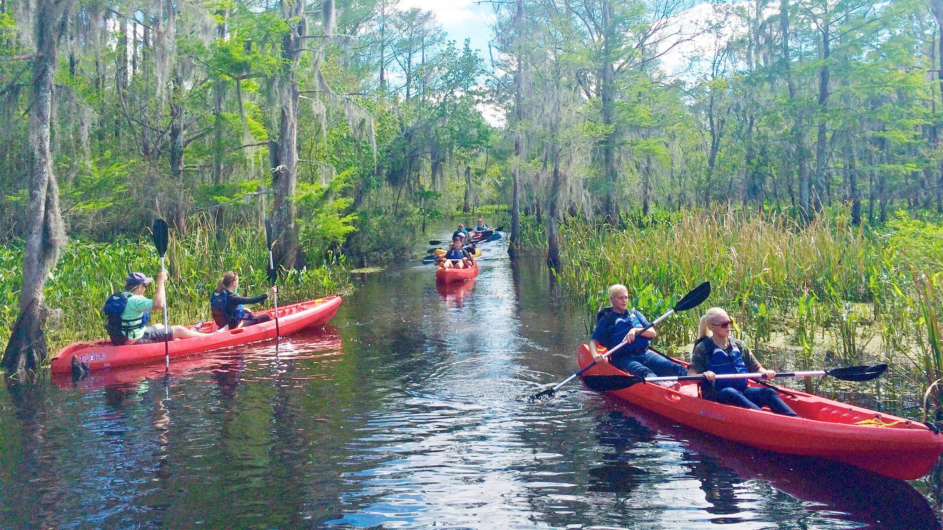 10 TOP Things to Do in Mandeville (2020 Attraction & Activity Guide ...