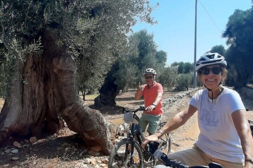 e-bike tour in the plain of the secular olive trees of Ostuni 