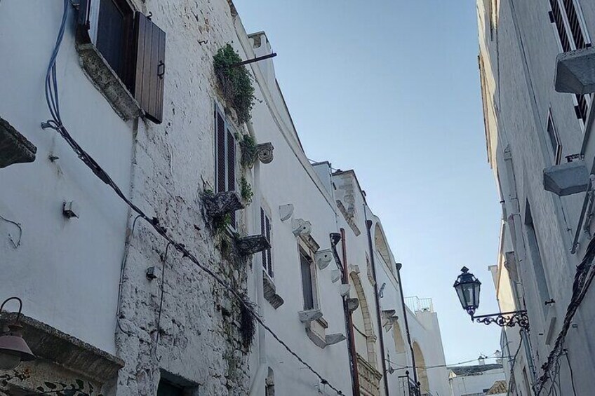 e-bike tour in the plain of the secular olive trees of Ostuni 