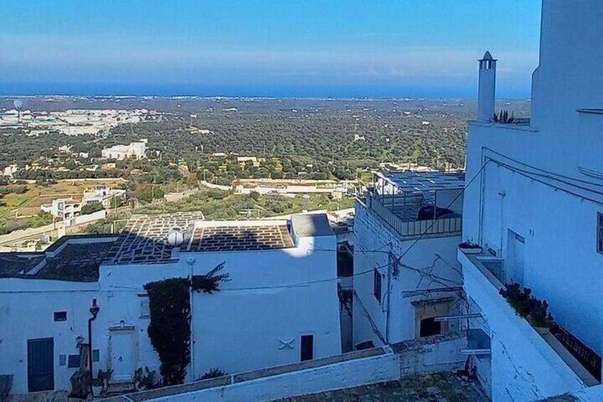 e-bike tour in the plain of the secular olive trees of Ostuni