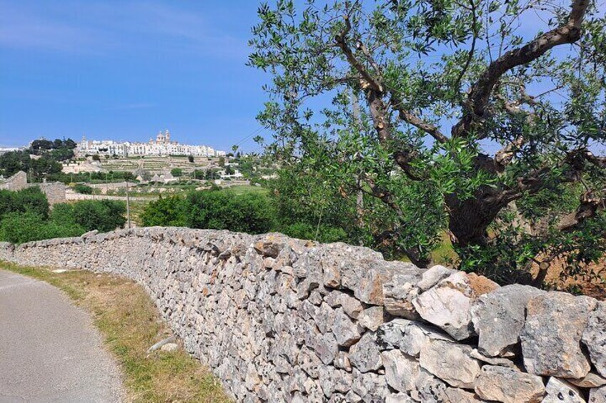 The countryside of Locorotondo