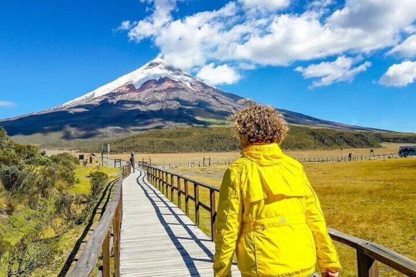 Full Day Private Tour knowing Cotopaxi and Quilotoa