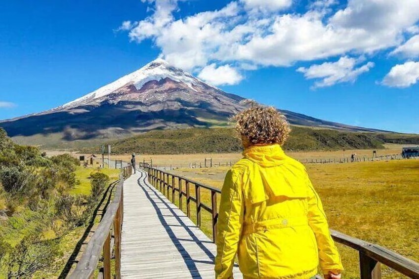 Full Day Private Tour knowing Cotopaxi and Quilotoa