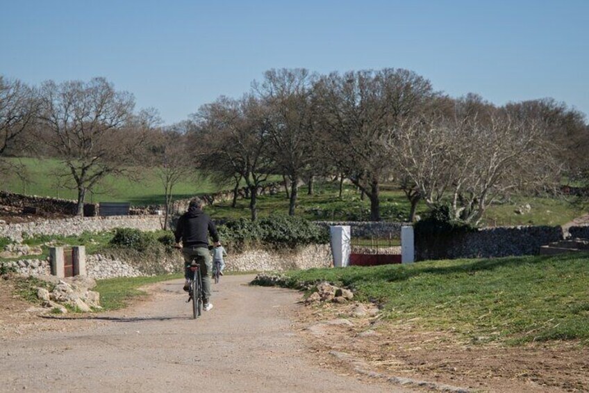 Martina Franca e-Bike tour . Visit a breeding and a dairy farm
