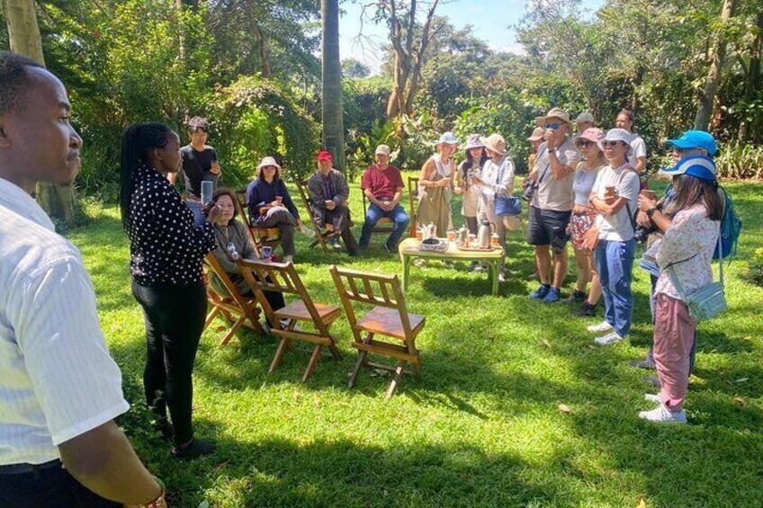 Private Half-Day Tour in Fairview Coffee Farm from Nairobi