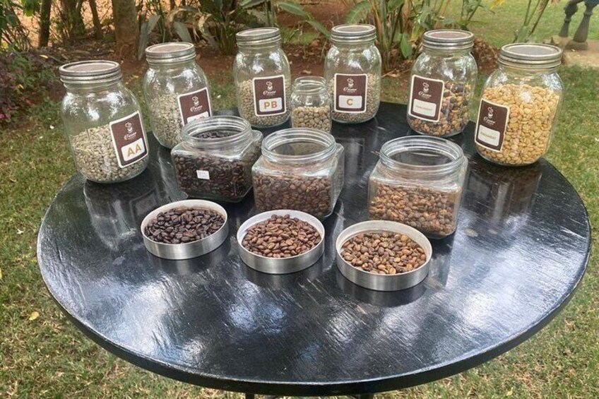 Private Half-Day Tour in Fairview Coffee Farm from Nairobi