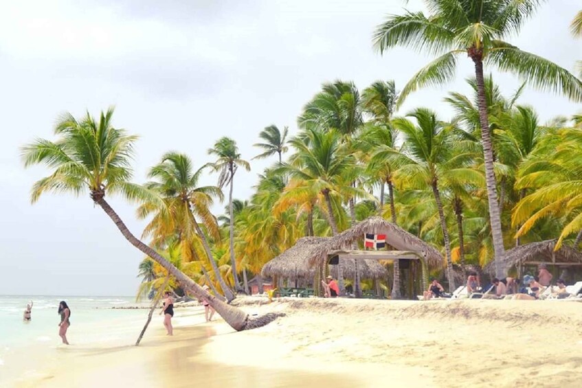 Picture 5 for Activity SAONA ISLAND: Catamaran Boat with Open Bar, Lunch and More..