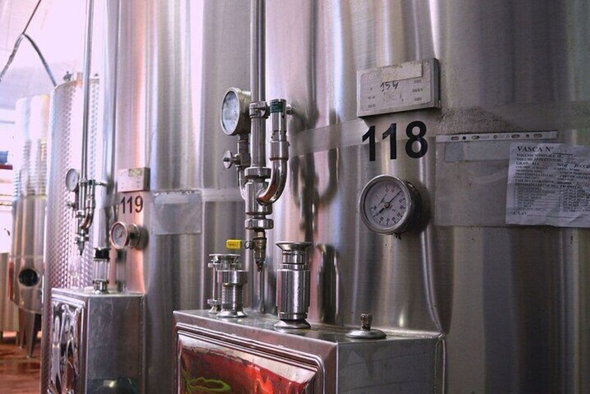 Cisternino e-bike tour. Visit a winery and an oil mill