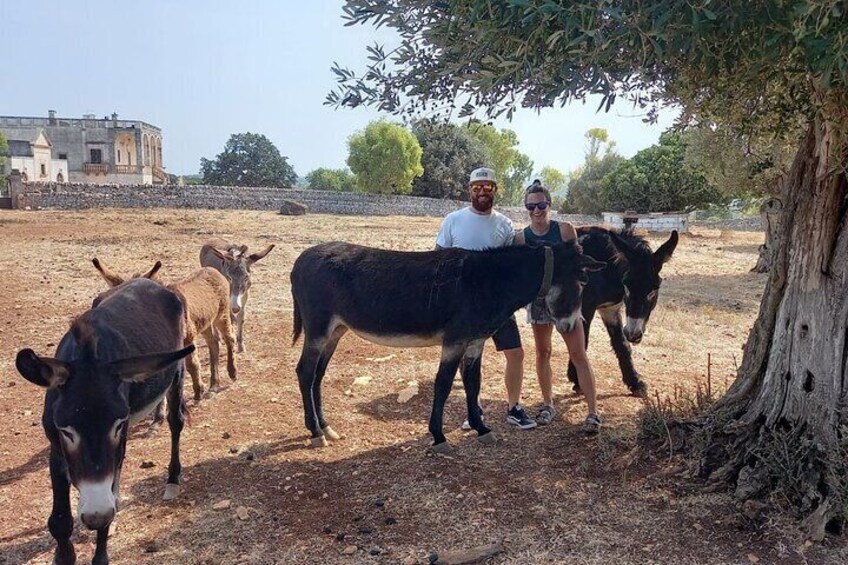 Cisternino e-bike tour. Visit a winery and an oil mill