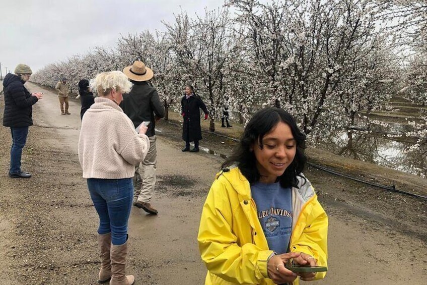 Visiting the blossom trail.