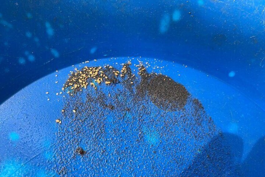 Gold Panning Activity at Mission Creek