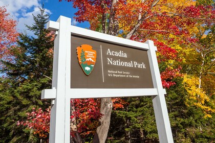 Acadia National Park audiotour met gids vanaf Cadillac Mountain