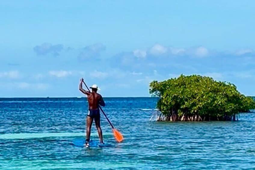 Enjoy the 100% eco-friendly Sailing Lagoon: Snorkelling Paddle