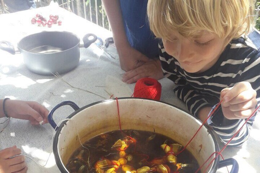 2 Hours Nature Dyeing Fabric with Local Plants in Cyprus