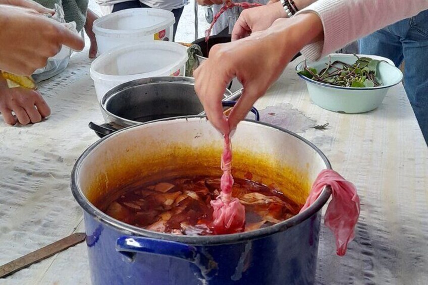 2 Hours Nature Dyeing Fabric with Local Plants in Cyprus