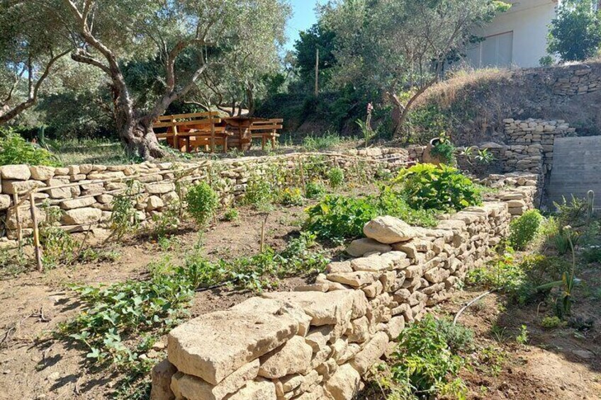 Wine Tasting: Meet the Cretan Vineyard at West Chania