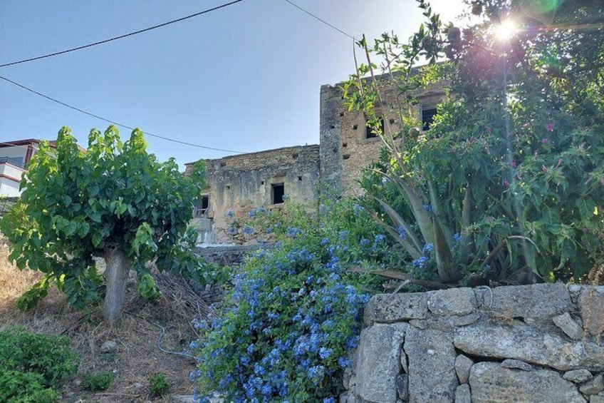 Wine Tasting: Meet the Cretan Vineyard at West Chania