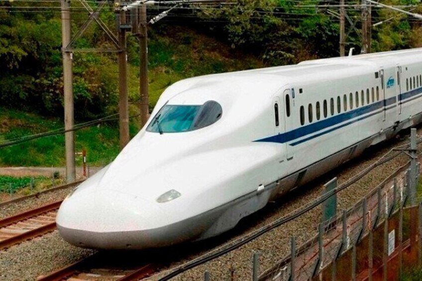 1-Day Kyoto Rail Tour by Bullet Train from Tokyo