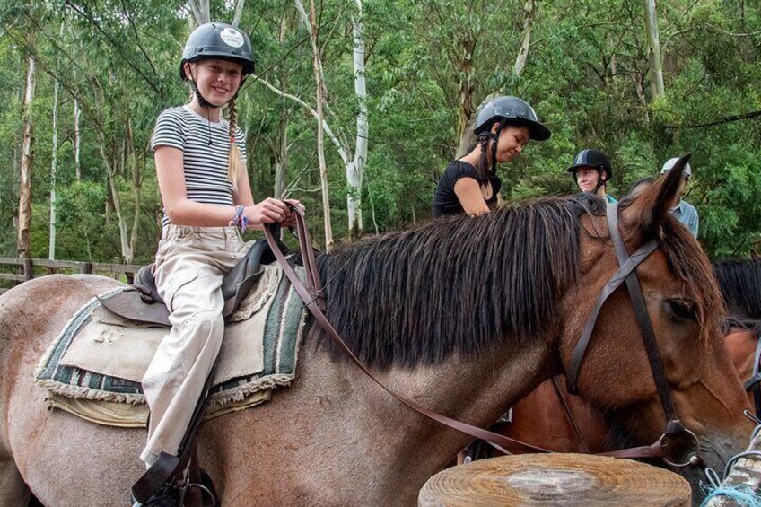 Horse Riding, Koalas & Kangaroos - Wild Australia: Private Tour