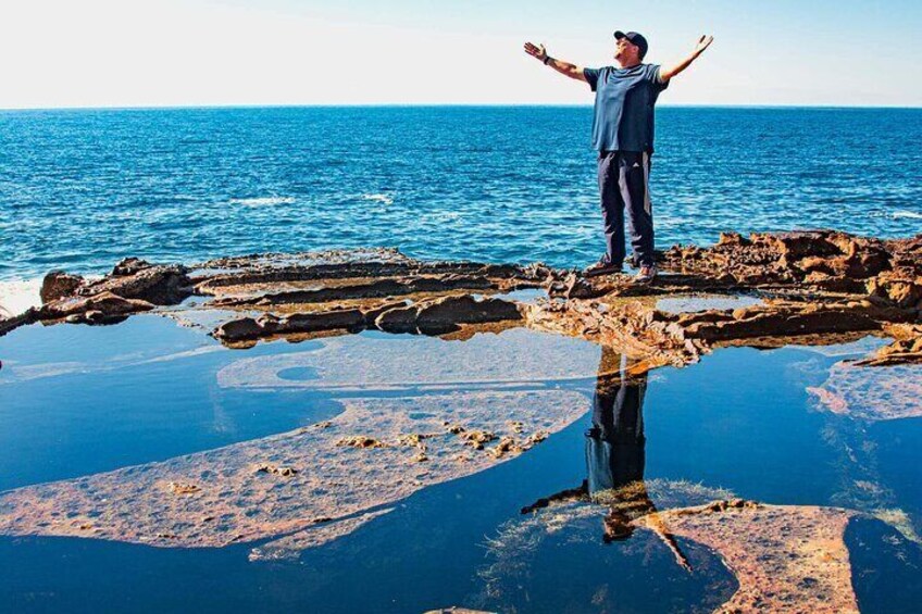 Explore Tide Pools Brimming With Marine Life