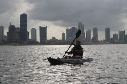 2 Hour Private Kayaking at Port City of Colombo
