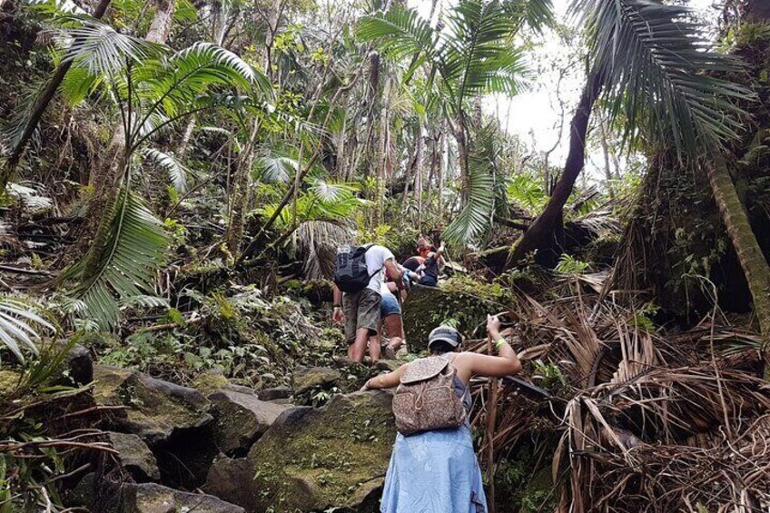 Full-Day Guided Trekking in Mt. Liamuiga Volcano