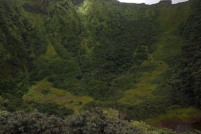 Full-Day Guided Trekking in Mt. Liamuiga Volcano