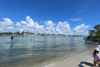 Stand-Up Paddle Boarding in Coral Cove Park Tequesta