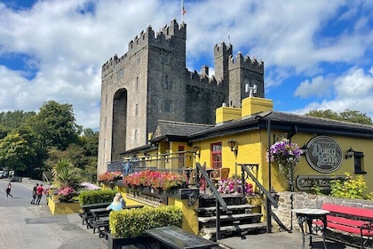 Private Tour from Cork to the Cliffs of Moher and Bunratty