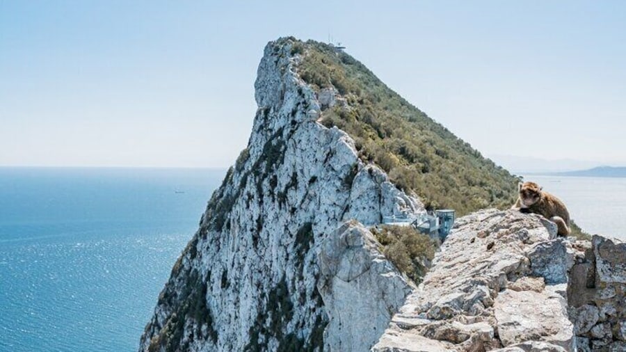 Full Day Private Tour to Gibraltar from Malaga