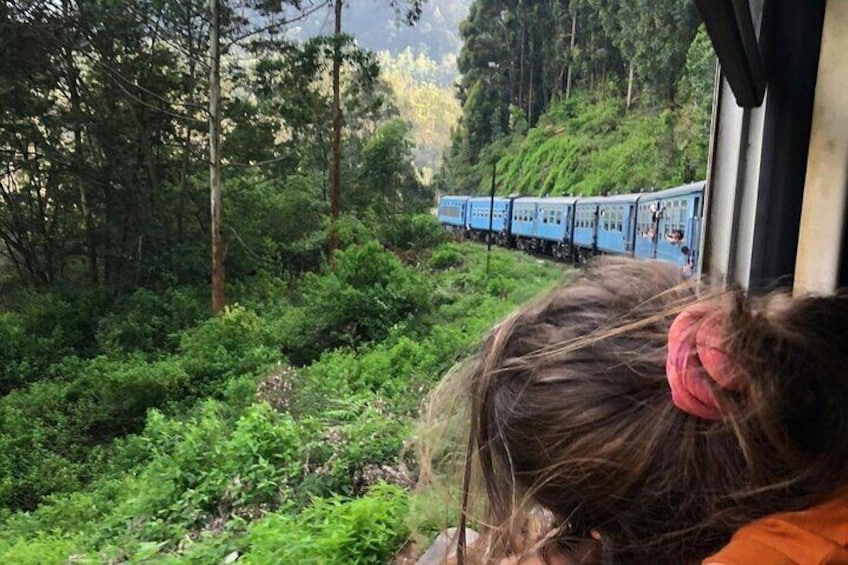 Ella to Kandy train journey