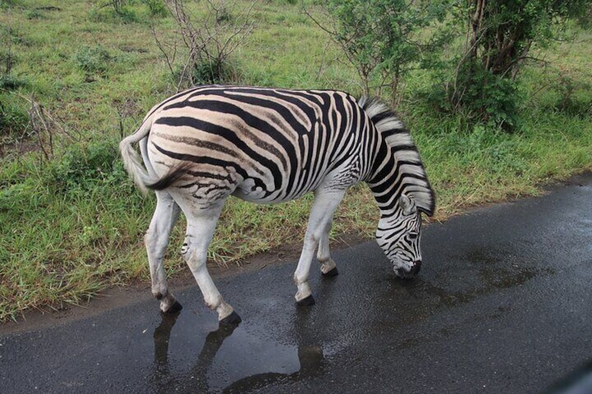 When you are thirsty, you'll drink anywhere...