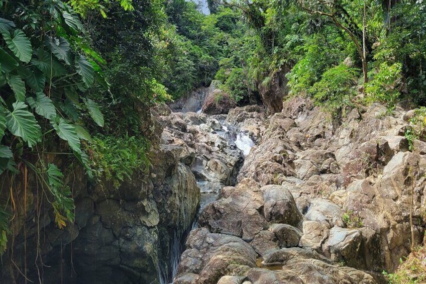 Fun hike to Natural Waterslides, cliff jumps, and a rope swing!