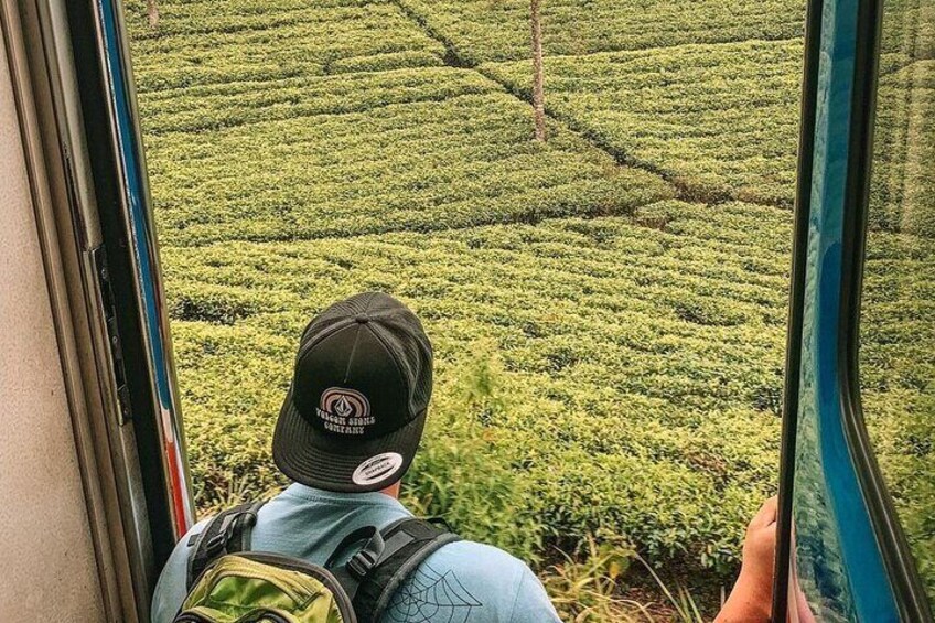 Ella to Kandy / Colombo train journey