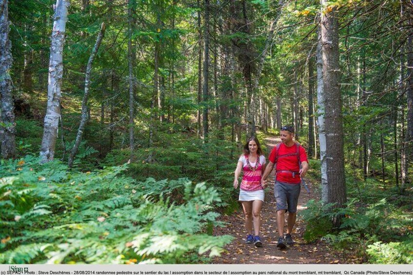 Day at Mont-Tremblant National Park